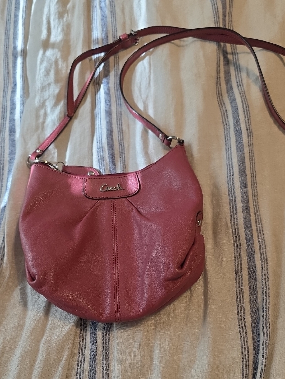 Coach Rose Leather Mini Crossbody Bag